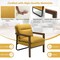 Single Sofa Chair with Extra-Thick Padded Backrest and Seat Cushion
